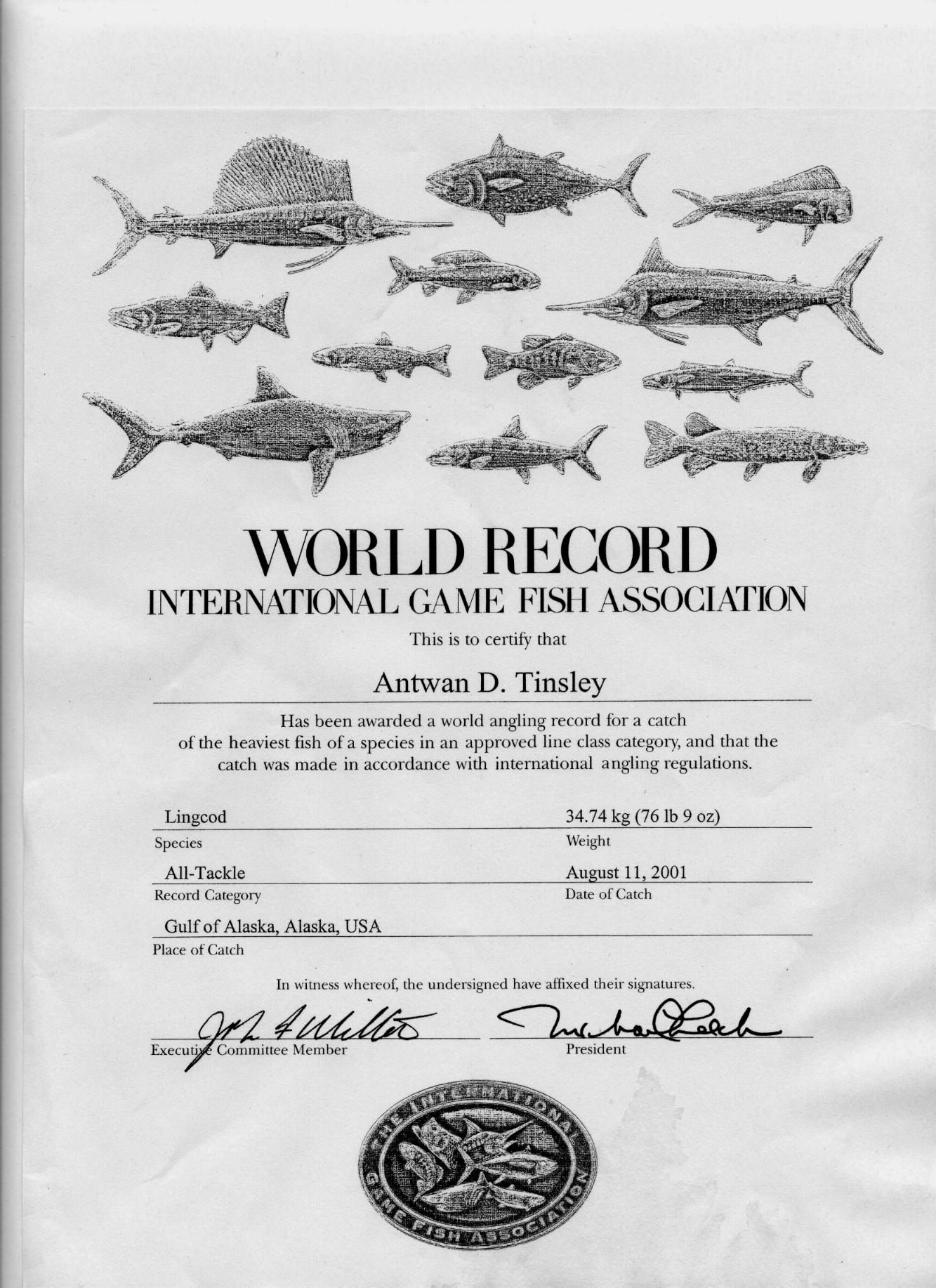 World Record Certificate3.jpg (340116 bytes)